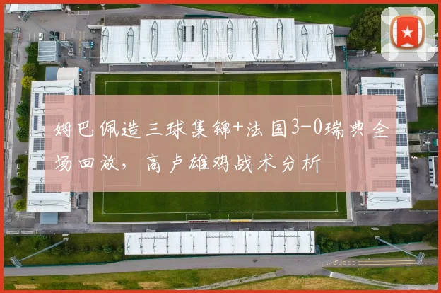 姆巴佩造三球集锦+法国3-0瑞典全场回放,高卢雄鸡战术分析